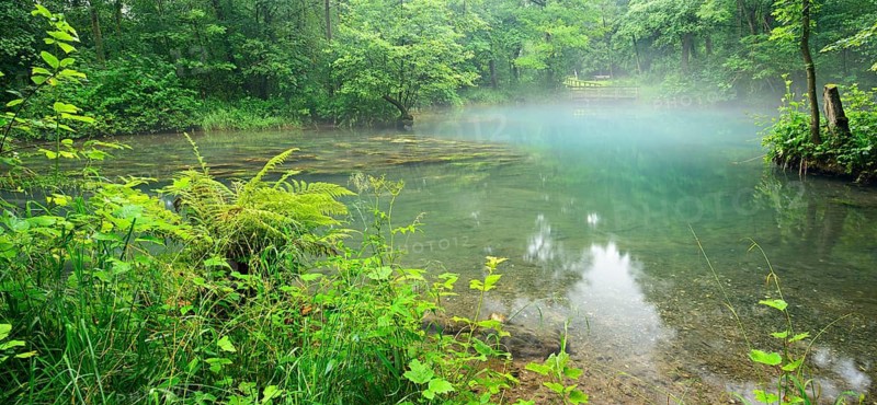 Rhumequelle spring pot, one of the largest karst springs in Europe, national geotope, Rhumspringe, Lower Saxony, Germany