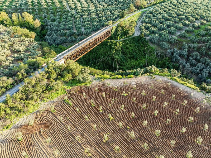 Cycle path Via Verde Del Aceite, old railroad track passes through olive fields, cycle path on bridge, near village Cabra, aerial view, Andalusia, Spain