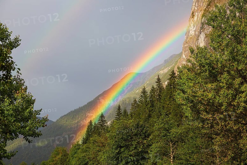 Rainbow after a thundertorm. Nature conservancy area Grosser Ahornboden. Sycamore maple trees, Acer pseudoplatanus, in autumn. Karwendel mountains