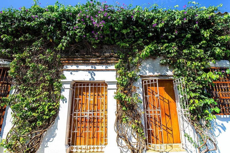 Colombia, Scenic colorful streets of Cartagena in historic Getsemani district near Walled City, Ciudad Amurallada, a UNESCO world heritage site
