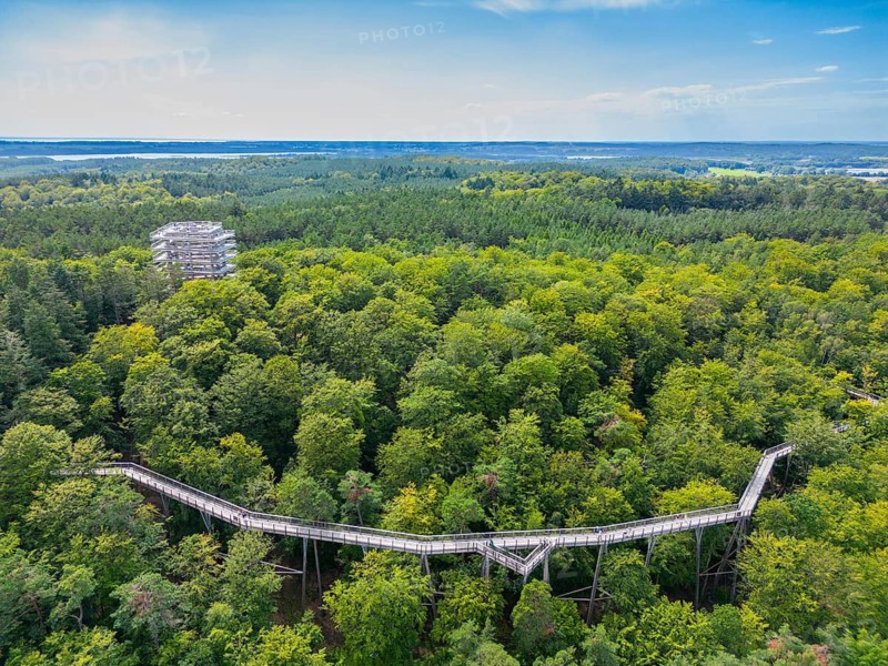 Aerial view, drone photo treetop walk, Baltic resort Heringsdorf, Usedom Island, Mecklenburg-Western Pomerania, Germany