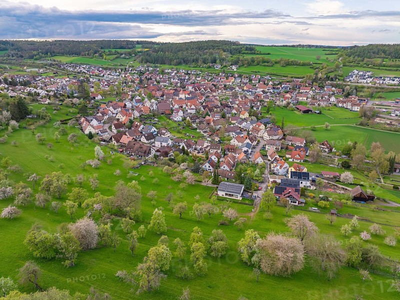 Extensive orchards and a village in a green, natural setting, Ostelsheim, Calw district, Germany