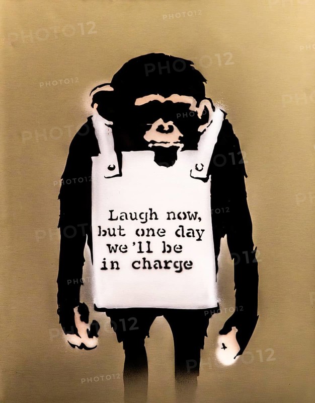 Banksy - Laugh Now, Rethinking Power Relations, 2002, Brighton, UK, exhibition The World of Banksy