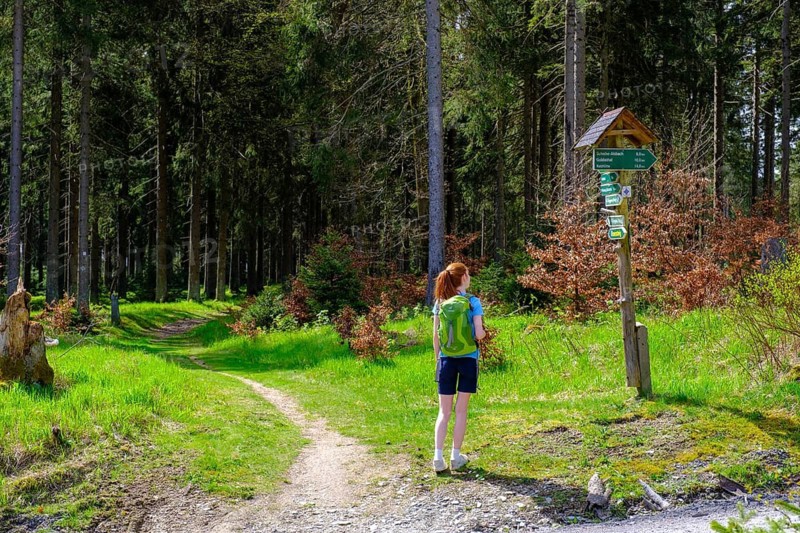 Hikers on the Rennsteig between Steinheider Hütte and Neuhaus am Rennsteig, Thuringian Slate Mountains, Thuringia, Germany