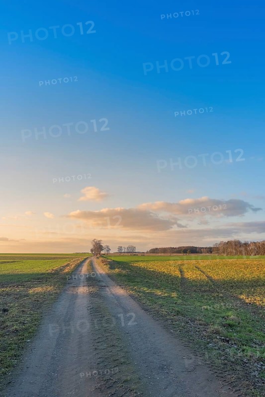 View along a country lane in the evening light, clouds, blue sky, backlight, field, landscape photo, portrait format, nature photo, close-up, nature photo, Neustadt am Rübenberge, Lower Saxony, Germany
