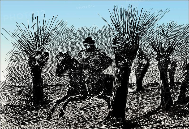 Erlkönig, The Alder King, a poem by Johann Wolfgang von Goethe