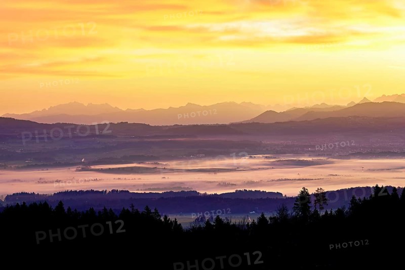 View from Horben of the Reuss Valley covered in fog, behind it the Alpstein with the Säntis in the light of the rising sun, Beinwil-Freiamt, Canton, Aargau, Switzerland