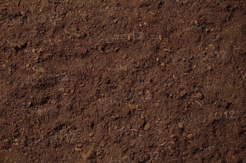 Detailed close up of rich, brown soil with fine texture, suitable for gardening, agriculture, and environmental projects. Ideal for backgrounds and educational materials