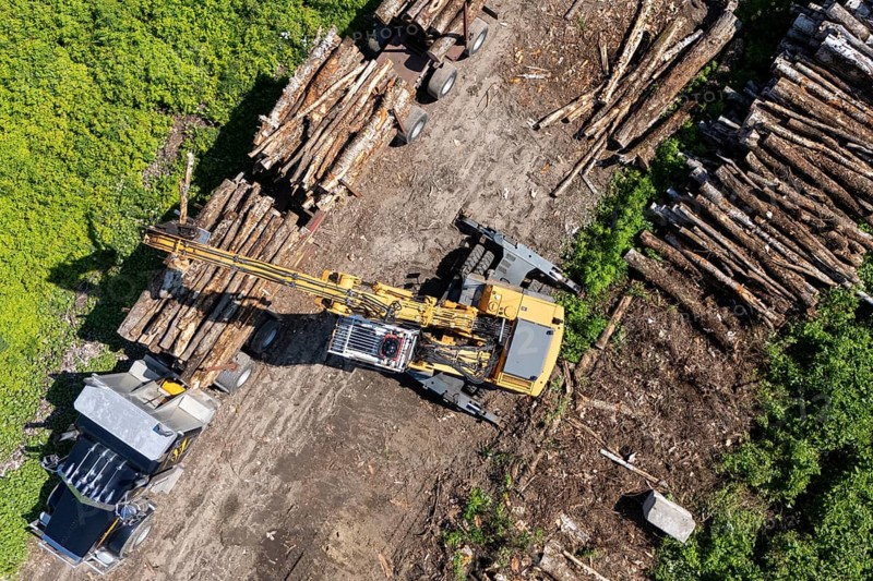 Tractor loading timber on a heavy hauler, Region of La Mauricie, Province of Quebec, Canada, North America