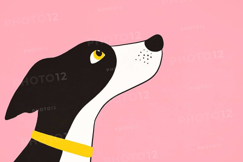 A minimalist illustration features a black and white dog, with a yellow collar, gazing upward against a pastel pink backdrop, conveying simplicity and charm