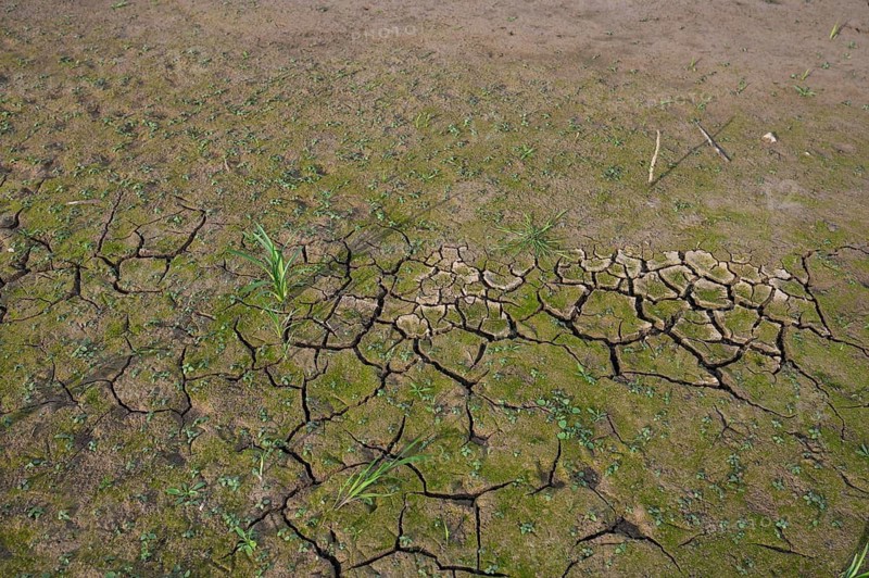 Ripped up earth in a dry carp pond, Franconia, Bavaria, Germany