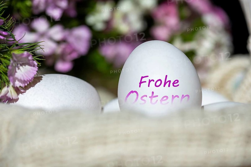 Egg with (digitally added) text FROHE OSTERN, spring flowers in the background