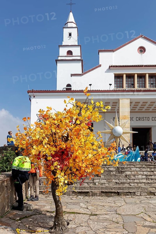 Basilica of the Lord of Monserrate, decorative tree, Bogota, Colombia