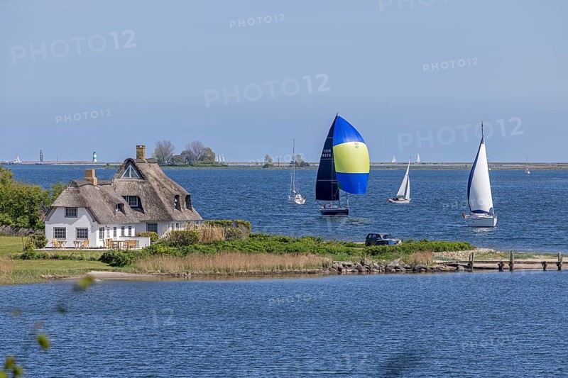 Thatched houses, sailboats, Rabelsund, Rabel, Schlei, Schleswig-Holstein, Germany