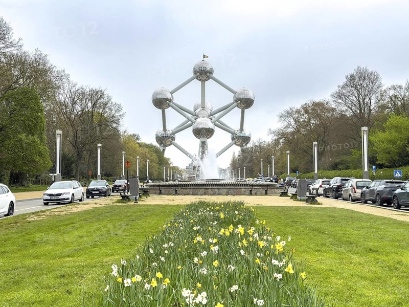 The Atomium with blooming yellow daffodils on a green area in the foreground, Brussels, Belgium