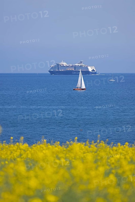 Color Line ferry, sailboats, rapeseed field, Baltic Sea, Altbülk, beaches, Schleswig-Holstein, Germany