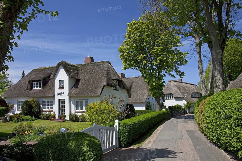 Frisian traditional house with straw-thatched roof at Föhr, Foehr island, North Frisia, Germany