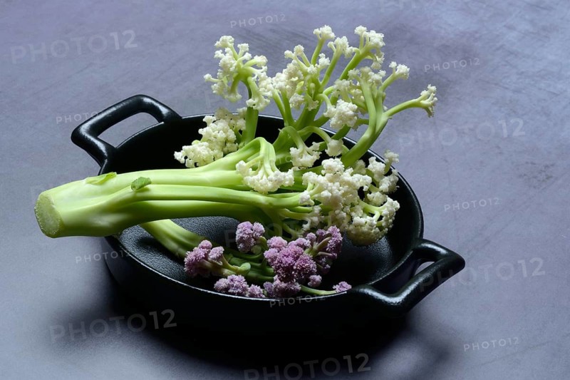 Fioretto, a cross between cauliflower and broccoli. The flowers are reminiscent of coral, vegetables in pots