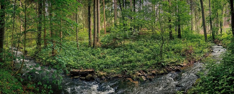 Panorama, A quiet river flows through a dense, green forest, Kosertal nature trail, health resort Wirsberg, Upper Franconia