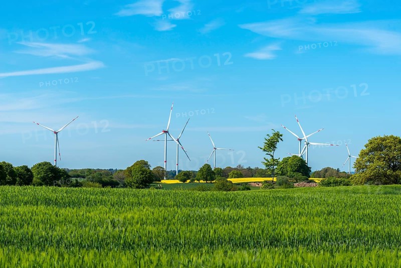Small wind farm between agricultural areas, rape cultivation, barley, deciduous trees, blue sky, sunny spring day, landscape Schwansen, Schleswig-Holstein, Germany