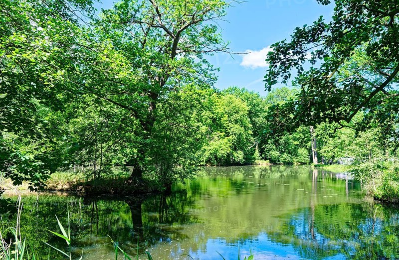 Landscape on one of the branches of the Spree in the Spreewald, UNESCO Spreewald Biosphere Reserve. Lübbenau, Oberspreewald-Lausitz, Brandenburg, Germany