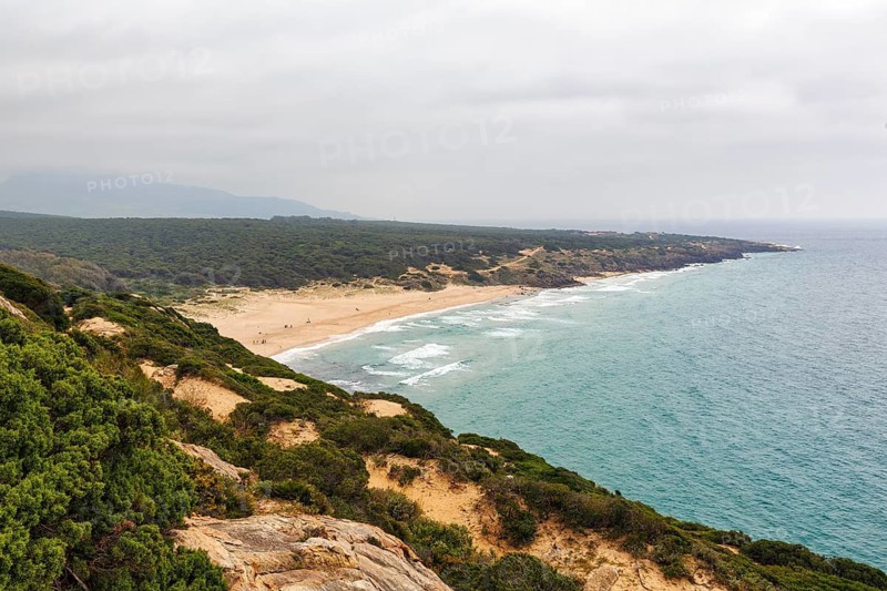 Coastline with sandy beach in natural park, view from above, Parque Natural del Estrecho, Strait of Gibraltar, Costa de la Luz, Andalusia, Spain