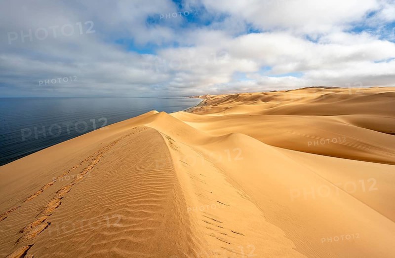 Sand dunes and sea in morning light, Atlantic coast and Namib desert, impressive desert landscape, Sandwich Harbour, Namib Naukluft Park, Namibia