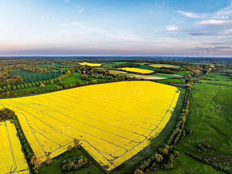 Rapeseed Fields and Farms over Horsebridge nad Stockbridge from a drone, Hampshire, England, United Kingdom