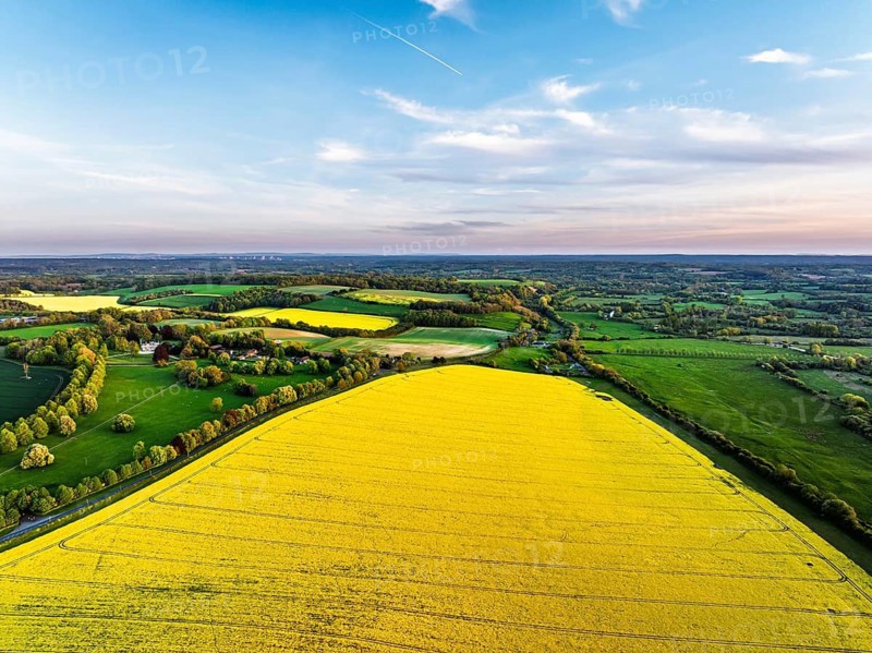 Rapeseed Fields and Farms over Horsebridge nad Stockbridge from a drone, Hampshire, England, United Kingdom