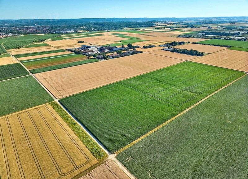 Aerial view of geometric grain and corn fields forming a colorful agricultural landscape with fertile farmland and rural patterns in summer. Langes Feld, north of Stuttgart, Baden-Württemberg, Germany