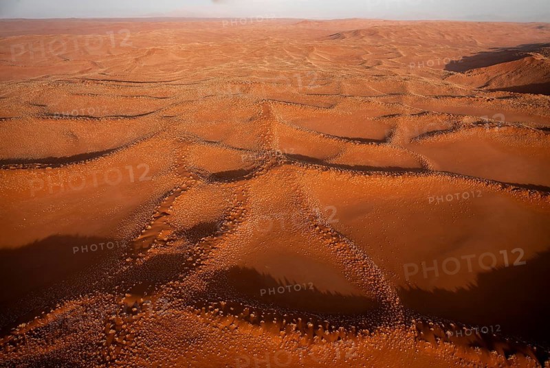 Aerial view, sand dunes with vegetation in the Namib Desert, Namib Naukluft Park, Namibia