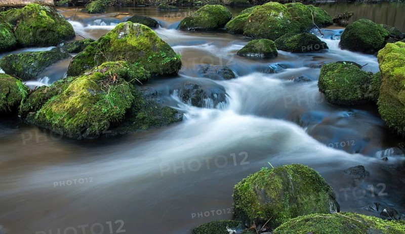 Germany, Saxony, Triebtal, rivers, landscape, atmosphere, Vogtland