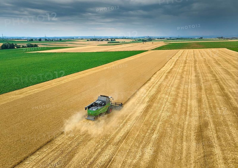 Combine harvester harvesting wheat on a field in the vertile and fruitful of Langes Feld north of Stuttgart, Baden-Württmberg, Germany