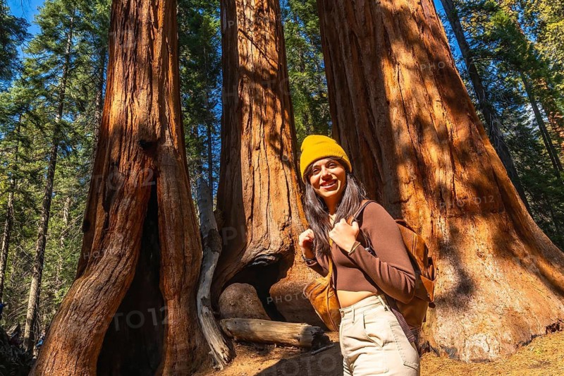 Woman tourist smiling and wearing a beanie, enjoying a scenic autumn hike among the tall redwood trees in sequoia national park, exploring california's sierra nevada