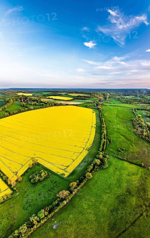 Panorama of Rapeseed Fields and Farms over Horsebridge nad Stockbridge from a drone, Hampshire, England, United Kingdom