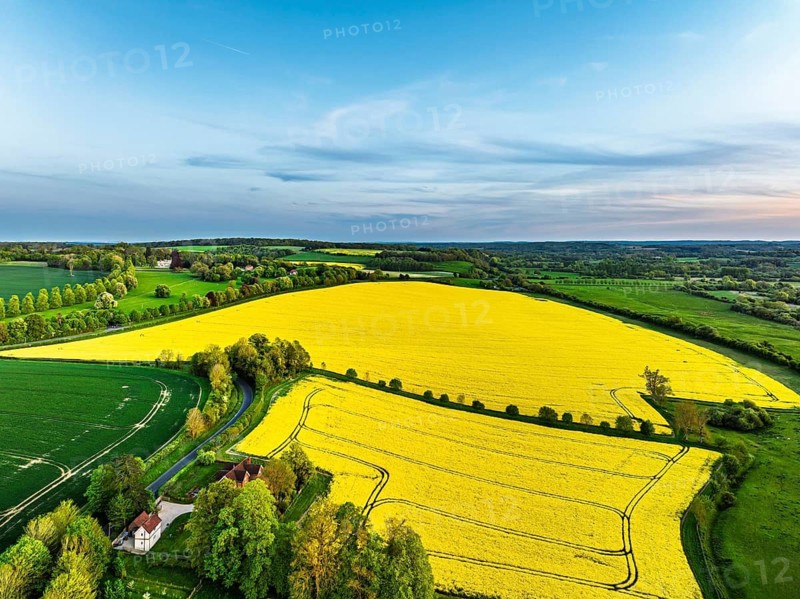 Sunset of Rapeseed Fields and Farms over Horsebridge nad Stockbridge from a drone, Hampshire, England, United Kingdom