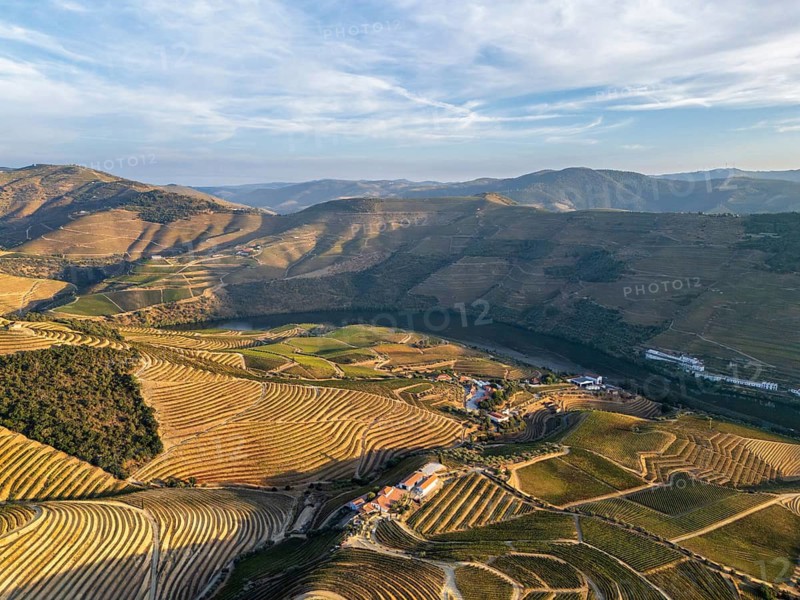 High angle drone shot of vineyard terraces surrounding the Douro River in Portugal, with geometric agricultural fields and rolling hills under soft evening light