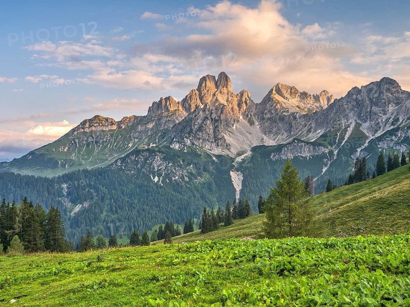 Alpine landscape in evening light, green meadows and forests under cloudy sky, Große Bischofsmütze, Gosaukamm, Dachsteinmassic, Sulzenalm, Filzmoos, Pongau, Salzburg, Austria
