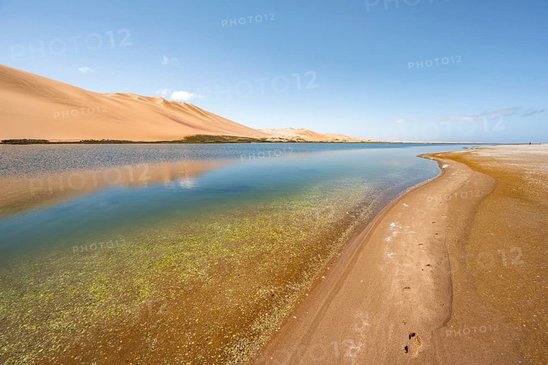 Sand dunes are reflected in the lagoon at Sandwich Harbour, footprints in the sand, Namib Naukluft Park, Namib Desert, Namibia