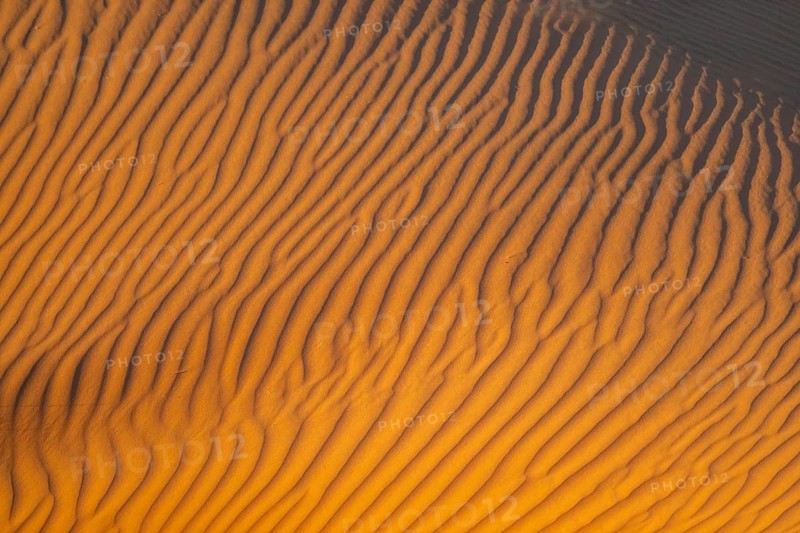 Pattern, detail, sand dunes, landscape in the NamibRand Nature Reserve, Namib Desert, Namibia