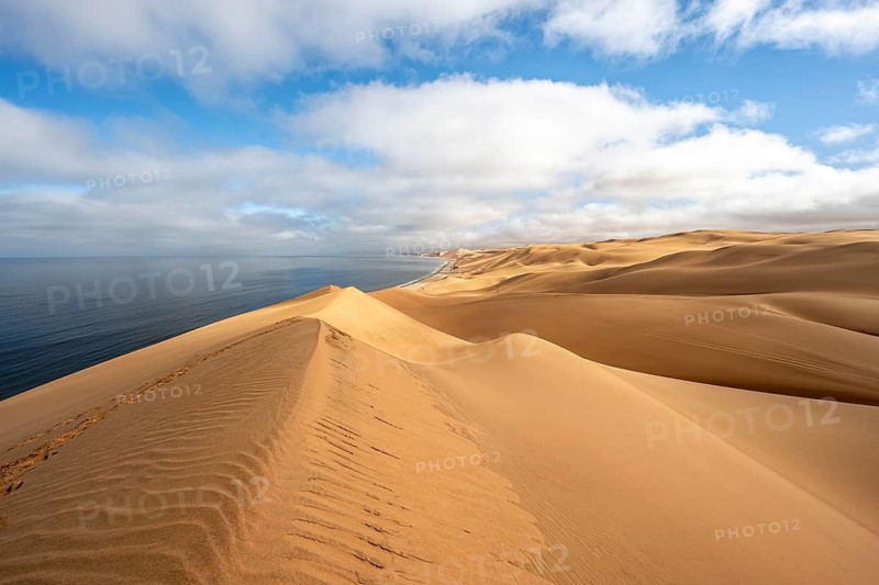 Sand dunes and sea, Atlantic coast and sandy desert with sea of dunes, Sandwich Harbour, Namib Naukluft Park, Namib Desert, Namibia