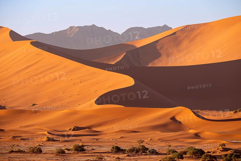Barren vegetation between red-yellow Namib sand dunes, Namib Desert, Namib-Naukluft National Park, Namibia