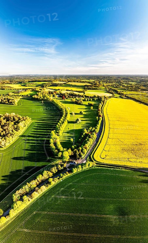 Panorama of Rapeseed Fields and Farms over Horsebridge nad Stockbridge from a drone, Hampshire, England, United Kingdom