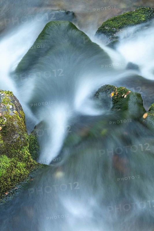 Moss-covered stones in mountain stream, Alvdal, Hedmark, Innlandet, Norway, September 2025