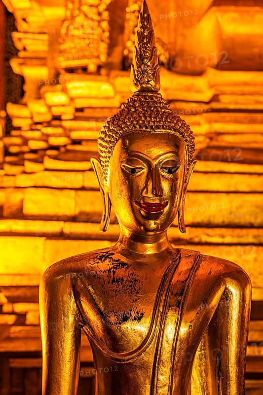Gilded Buddha statue, Buddhist temple complex Wat Phra That Si Chom Thong, near Chiang Mai, Chiang Mai Province, Thailand