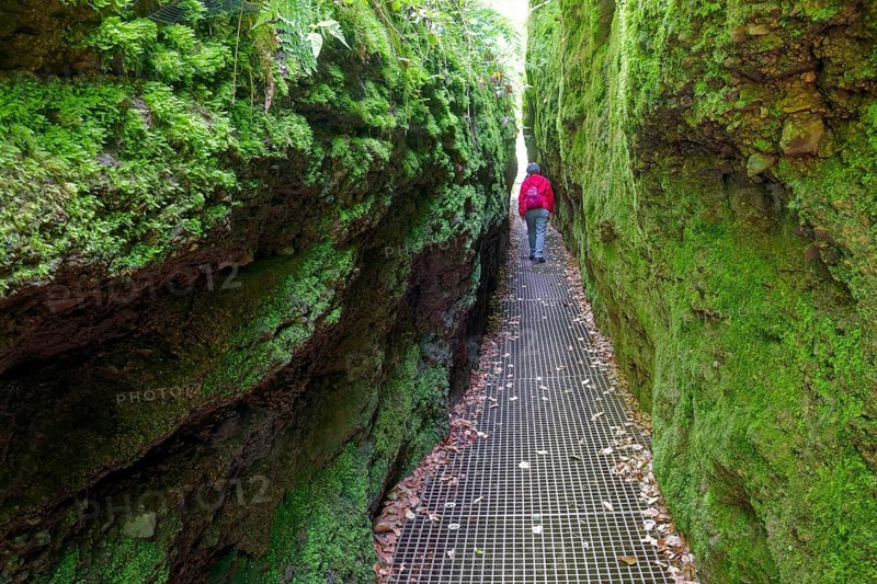 Hiking in the Dragon Gorge, gorge, hiking trail, hiking destination, fascinating, erosion, Eisenach, Thuringian Forest, Thuringia, Germany