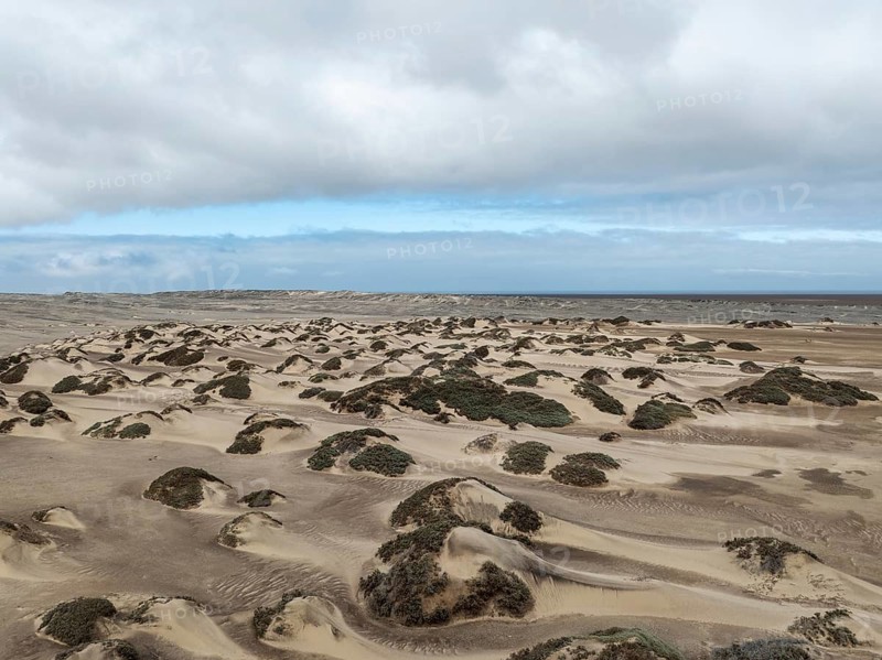 Sand hummocks caused by dwarf shrubs. Aerial view. Drone shot. Namib Desert, Skeleton Coast, Namibia