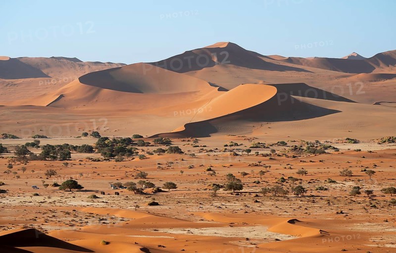 Barren vegetation between red-yellow Namib sand dunes, Namib Desert, Namib-Naukluft National Park, Namibia
