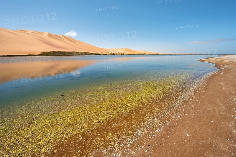 Sand dunes are reflected in Sandwich Harbour Lagoon, Impressive Desert Landscape, Namib Naukluft Park, Namib Desert, Namibia