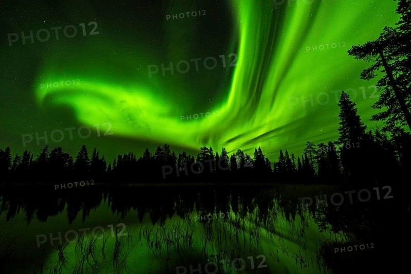Northern Lights (Aurora borealis) reflected in a forest lake, Muddus National Park, Laponia World Heritage Site, Norrbotten, Lapland, Sweden, September 2020